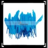 50pcs Home Decor Blue Goose Feather