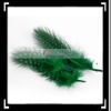 50pcs Home Decor Green Chicken Feather