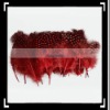50pcs Home Decor Red Chicken Feather