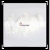 50pcs Home Decor White Duck Feather