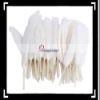 50pcs Home Decor White Goose Feather