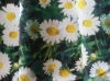 600D*600D pvc/pe/pu coating 100% polyester printed fabric