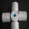 60S/2 100% polyester sewing thread /polyester yarn for knitting