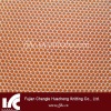 68D 100% polyester Mosquito net fabric(insect-resistant)
