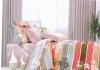 6pc bedding set