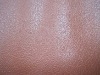 70D polyester oxford fabric with Chick claw trace pattern coated