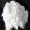 7D*64 two-dimension hollow silicon  polyester staple fiber(Manufacture)