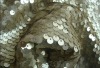 7MM dull sequins embroidery on mesh fabric