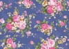 80s,90*88,58" Printed 100% Cotton Textile Fabric