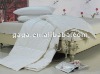 95%WGD Down Spring/Autumn comforter /Dvuet/ Quilt White