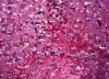 9mm Sequins Embroidered fabric