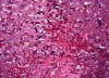 9mm Sequins Embroidered fabric