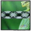 Afia   wide  colorful jacquardcotton lace YN-H0447B