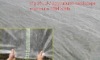 Agriculture Cover-100% Raw Material Nonwoven