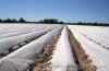 Agriculture Mulching Non woven Fabrics