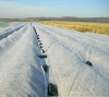 Agriculture Nonwoven Fabric Cover