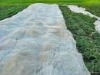 Agriculture Nonwoven Mulching Fabrics