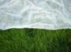 Agriculture crops cover pp nonwoven fabric