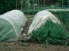 Agriculture using NonWoven fabric