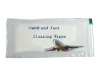 Airline hand and face cleaning towel