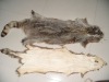 American Raccoon dog Skin