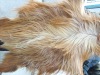 Anatolian Longhaired Goat Hide