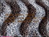 Animal Prints Velboa