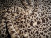 Animal Skin Printing Fleece