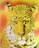 Animal printed polyester double sided brush fleece blanket