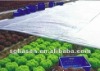 Anti-UV agricultural nonwoven fabric for winter/frost protection