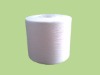 Anti-bacteria filament polyester yarn