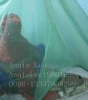 Anti malaria Long lasting insecticide treated mosquito net/ LLINs to Africa