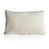 Antibacterial health care pillow