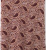 Apparel lace Fabric