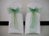 Apple Green Organza Sash