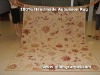 Aubusson Rugs yt-9009