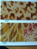 Axminster Carpet Patterns
