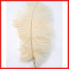 BUTTER CREAM Ostrich Feather Drab