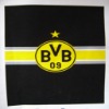 BVB printed polyester fleece