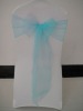 Baby Blue Organza Sash