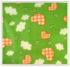 Baby Fleece Blanket