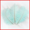 Baby blue Ostrich Feather Drab