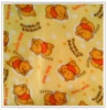 Baby little Bear Blanket