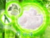 Bamboo Fiber