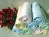 Bamboo Towel