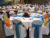 Banquet/Hotel chair cover, 100%polyester chair cover