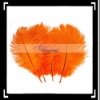 Beautiful!! 10pcs Home Decor Orange Ostrich Feathers