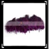 Beautiful!! 50pcs Home Decor Genuine Chicken Feather Purple