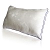 Beauty far infrared healthy pillows