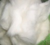 Belgium Rabbit Hair For Spinning Purpose